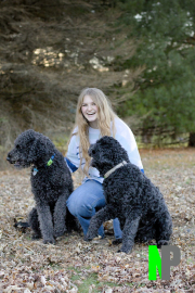 Munson_11-15-2025_0041